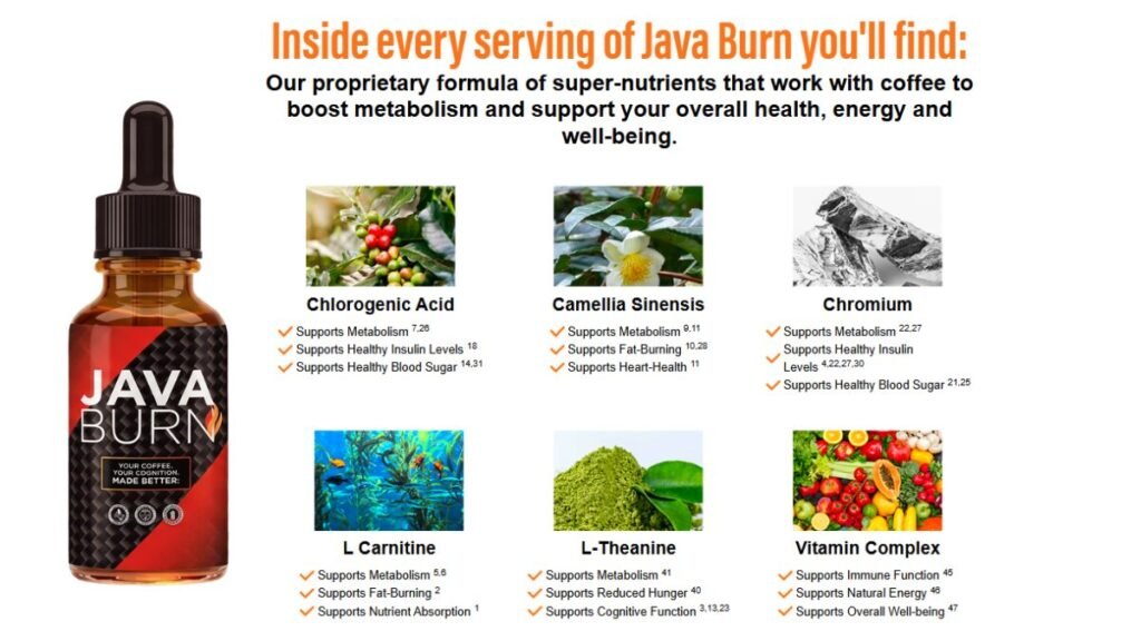 Java Burn Review: My Honest Experience with This Supplement in 2026 4 Java Burn Ingredients Explained and How They Work