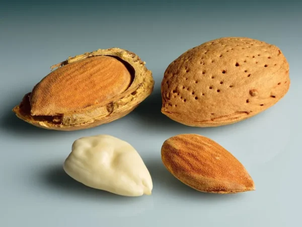 Whole and cracked almonds