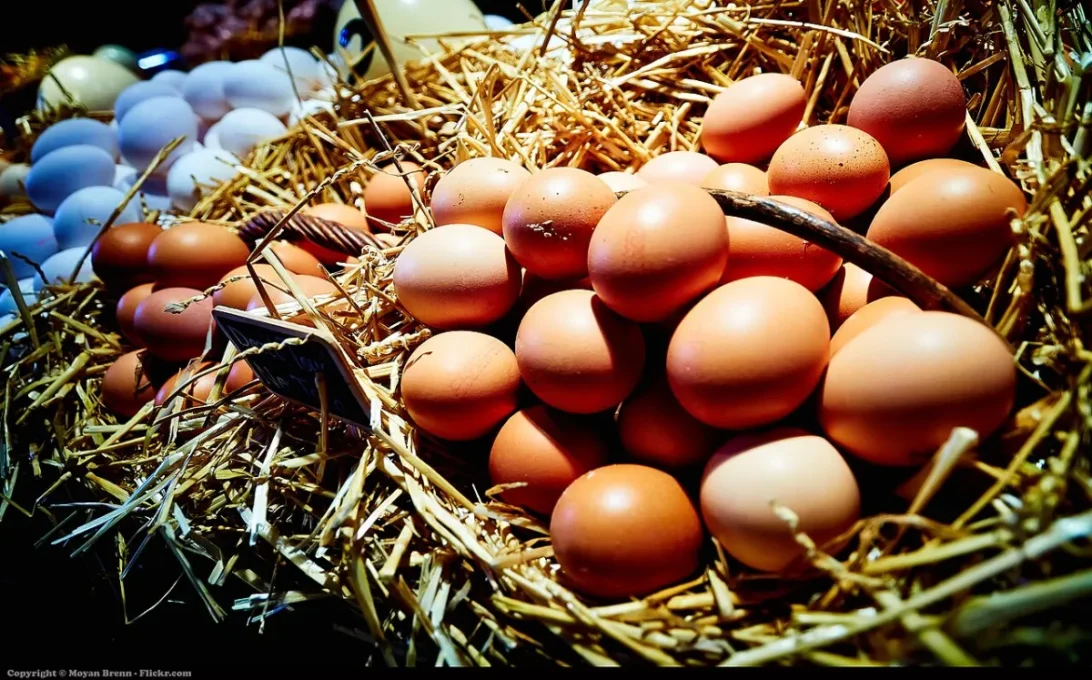 Vitamin D Guide: How Much You Need, Best Sources and Safe Supplement Use 1 Basket of brown eggs