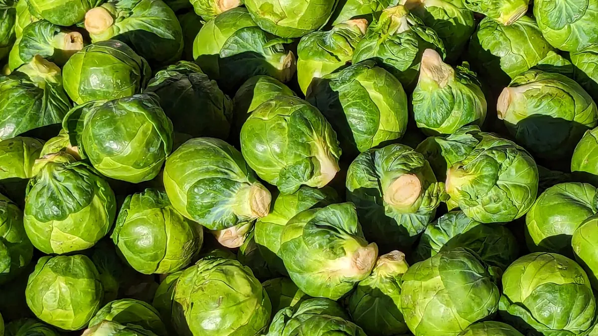 Prostate Health After 50: Foods, Habits and Supplements Explained 2 Prostate health: fresh Brussels sprouts