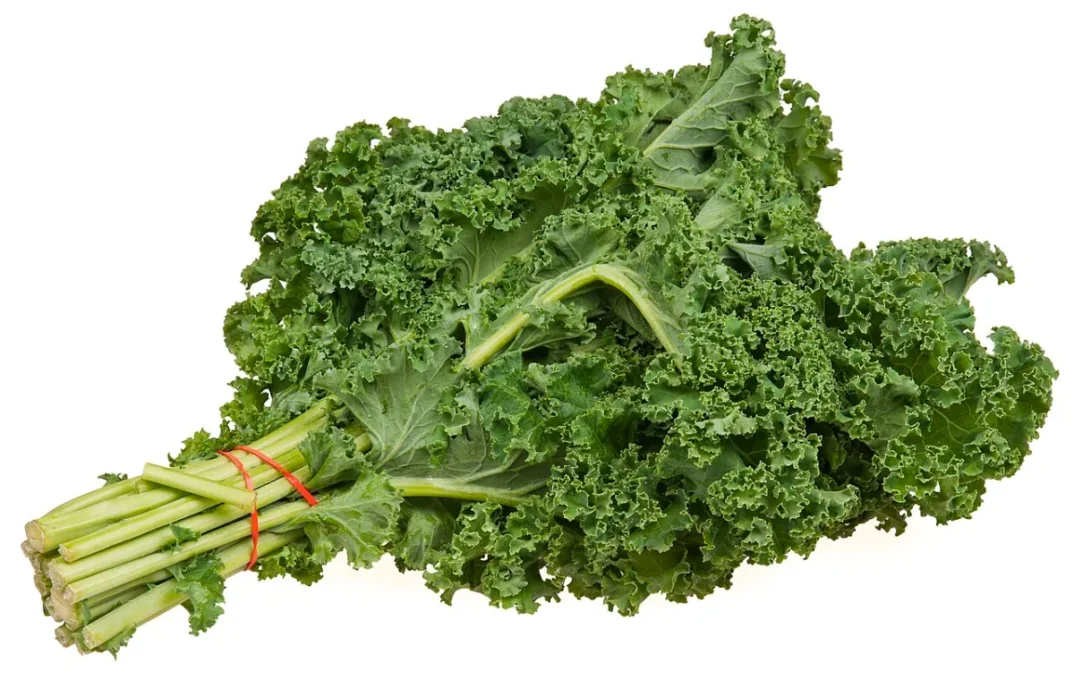 How to Get the Most from Broccoli, Kale and Other Cruciferous Vegetables 1 Fresh bunch of curly kale
