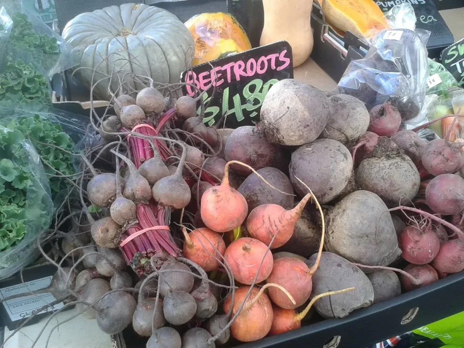 Fresh red beets with their roots