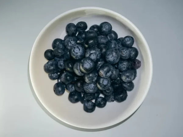 A bowl of fresh blueberries