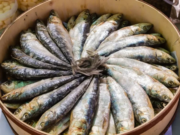 Fresh sardines arranged in a pan