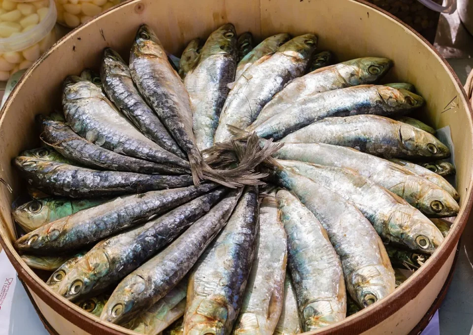 Omega-3s and Brain Health: Fish vs. Fish Oil Pills 1 Fresh sardines arranged in a pan