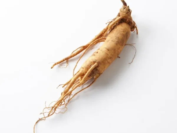 Dried Panax ginseng root