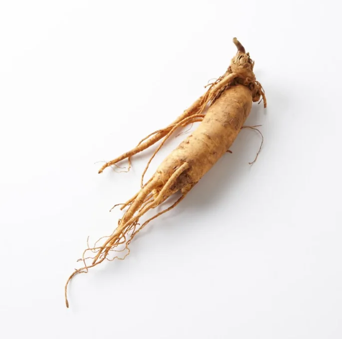 Natural Health Guides for Healthy Living 6 Dried Panax ginseng root
