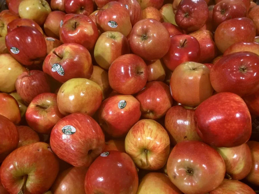 Apple cider vinegar and blood sugar: pile of fresh red apples