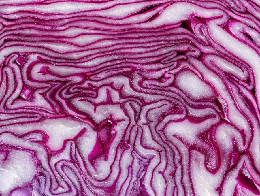 How to Get the Most from Broccoli, Kale and Other Cruciferous Vegetables 2 Cruciferous vegetables: sliced red cabbage