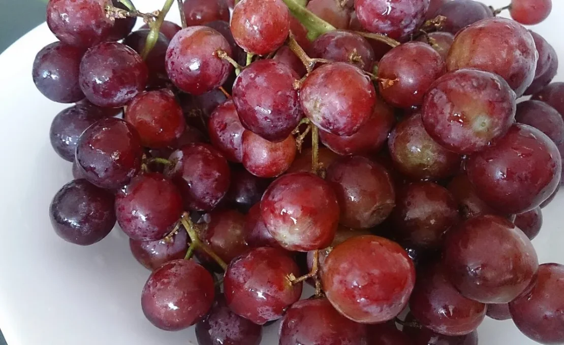 Bunch of red grapes