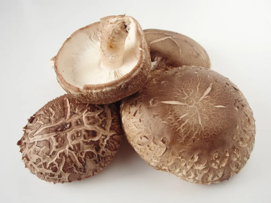 Vitamin D Guide: How Much You Need, Best Sources and Safe Supplement Use 3 Fresh shiitake mushrooms, a food source of vitamin D