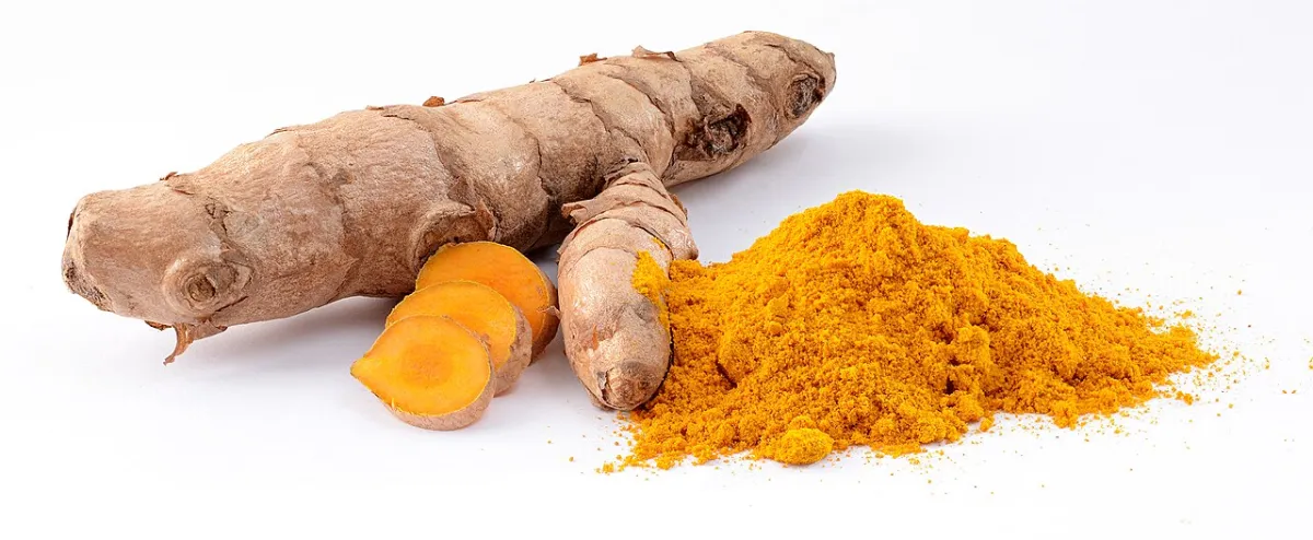 Fresh turmeric roots next to ground turmeric powder