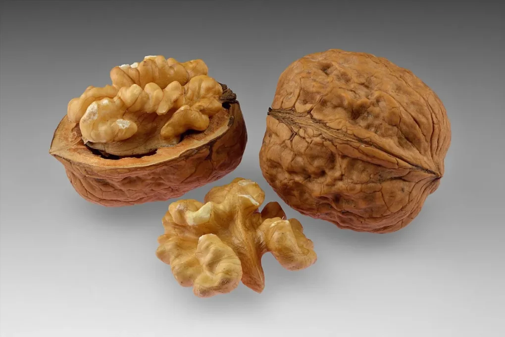 Brain-healthy foods: whole and cracked walnuts with a walnut kernel