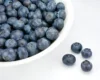 A bowl of fresh blueberries