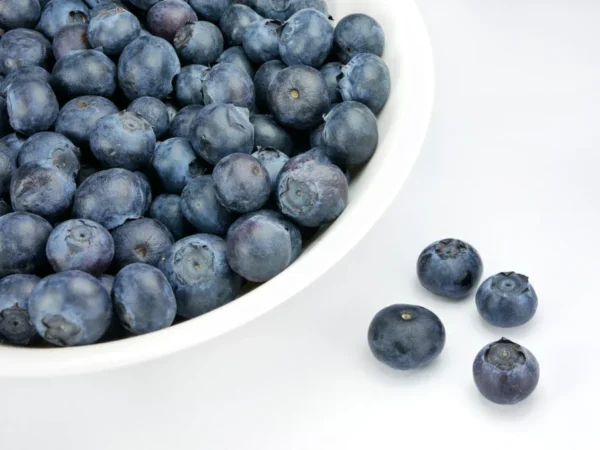 A bowl of fresh blueberries