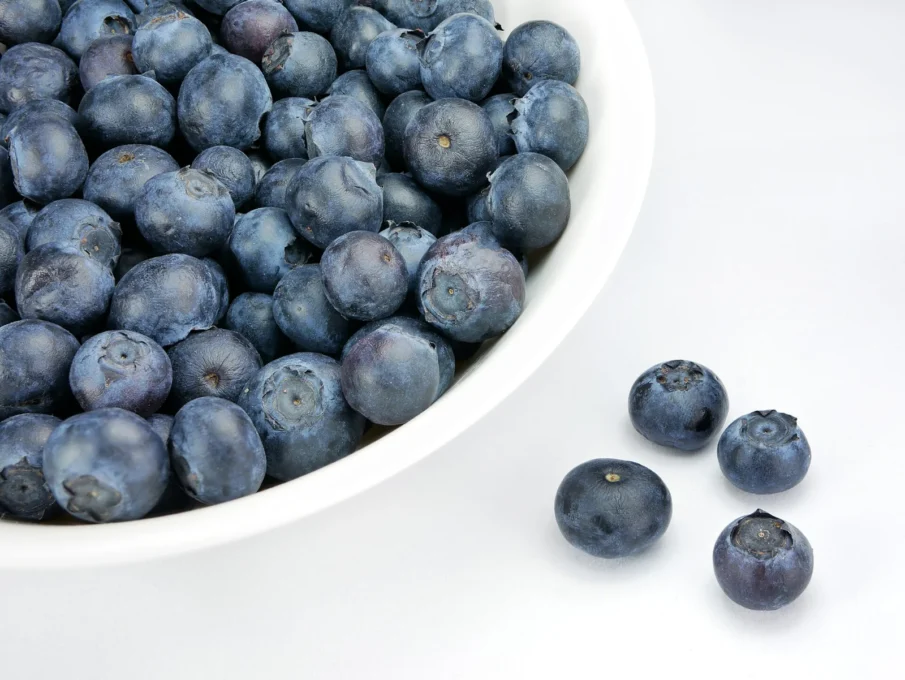 A bowl of fresh blueberries
