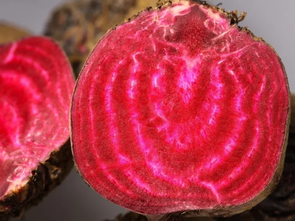 Sliced Chioggia beet showing red and white rings