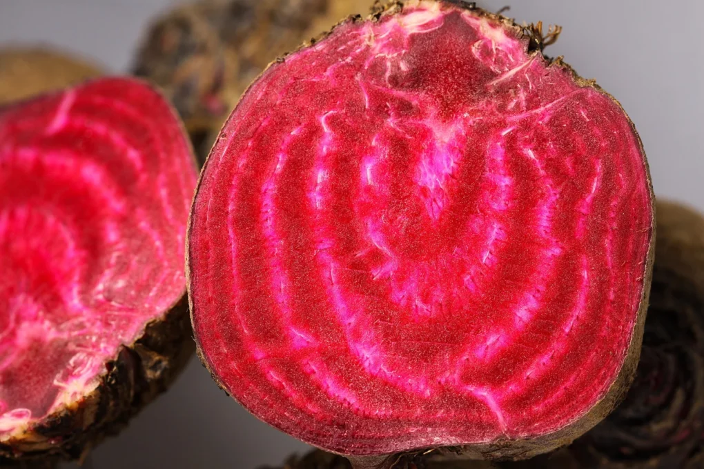 Sliced Chioggia beet showing red and white rings